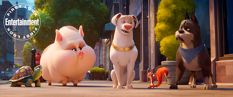 Imagen foto_00000002